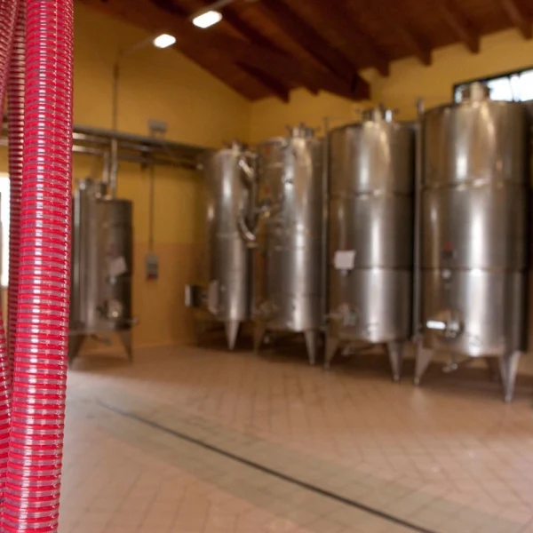 Nuraghe crabioni cantina3 600x600