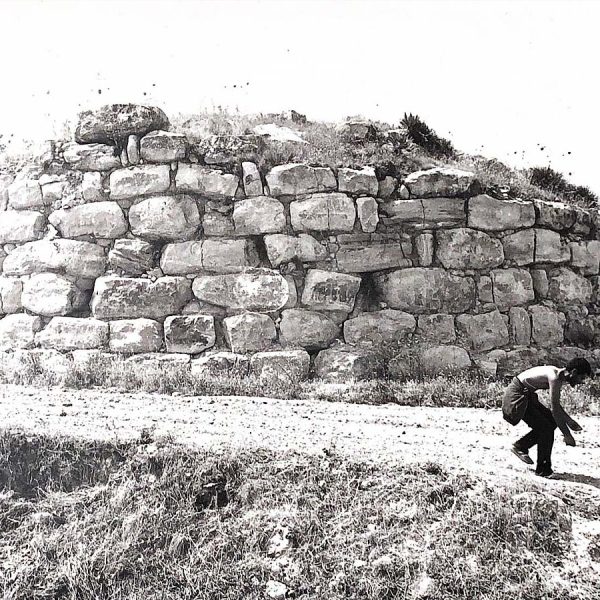 Nuraghe pala cannedda1 600x600