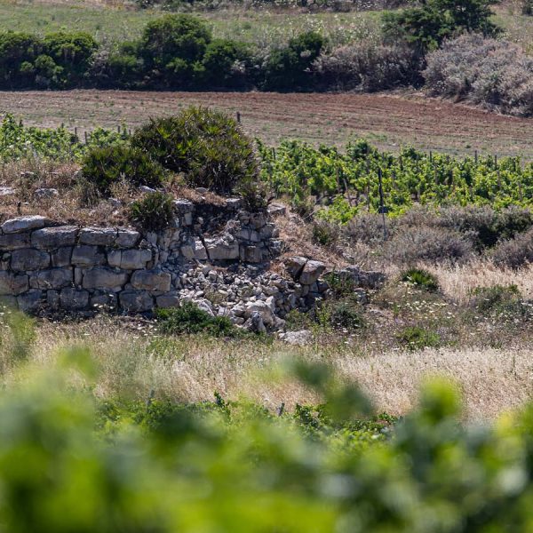 Nuraghe pala cannedda5 600x600